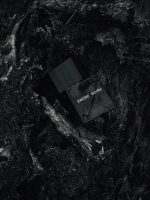Lalique Encre Noire