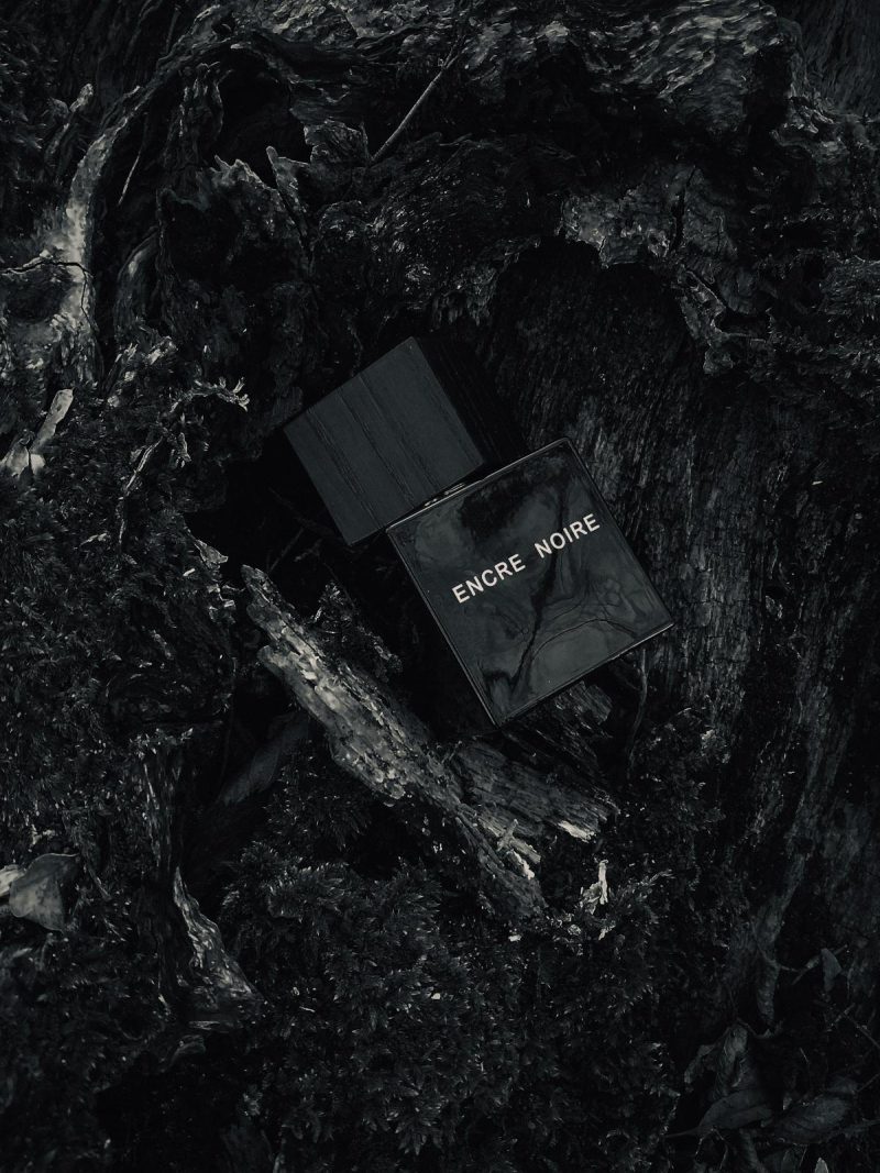 Lalique Encre Noire