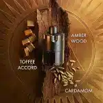 عطر ادکلن آزارو د موست وانتد ادوپرفیوم مردانه 100 میل | Azzaro The Most Wanted EDP 100 ML
